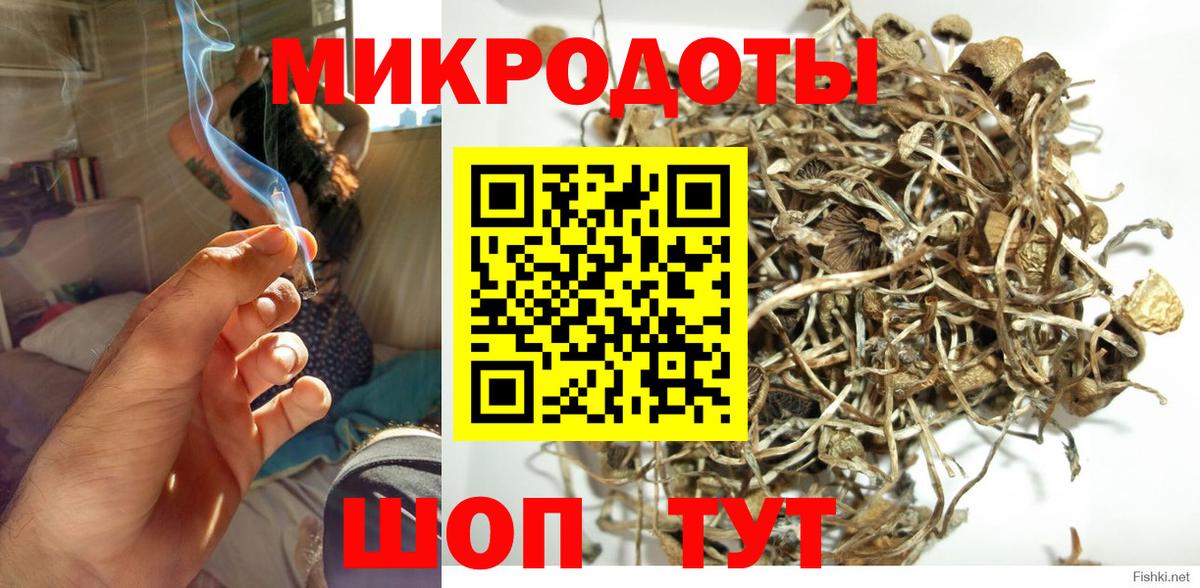 Псилоцибиновые грибы Psilocybe  Галлюциногенные грибы Cubensis  Вход с VPN  Минеральные Воды 