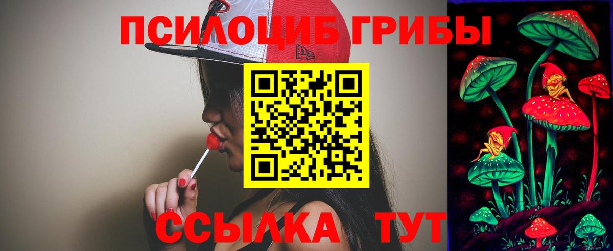 Псилоцибиновые грибы мухоморы Минеральные Воды